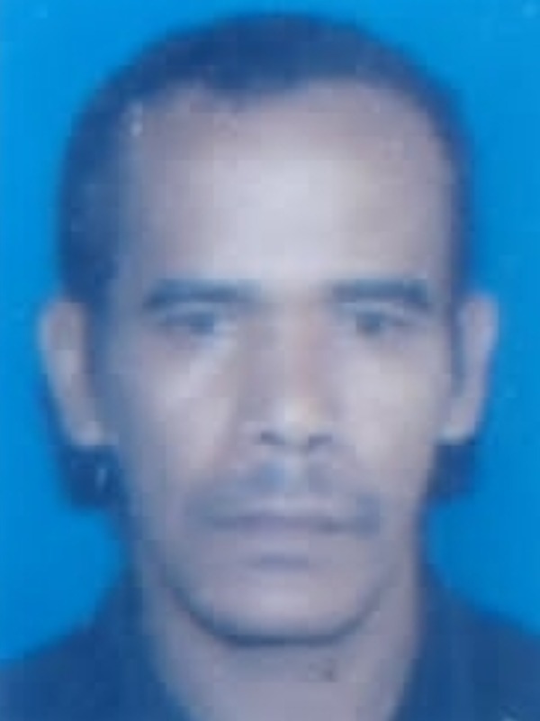 Foto Widodo